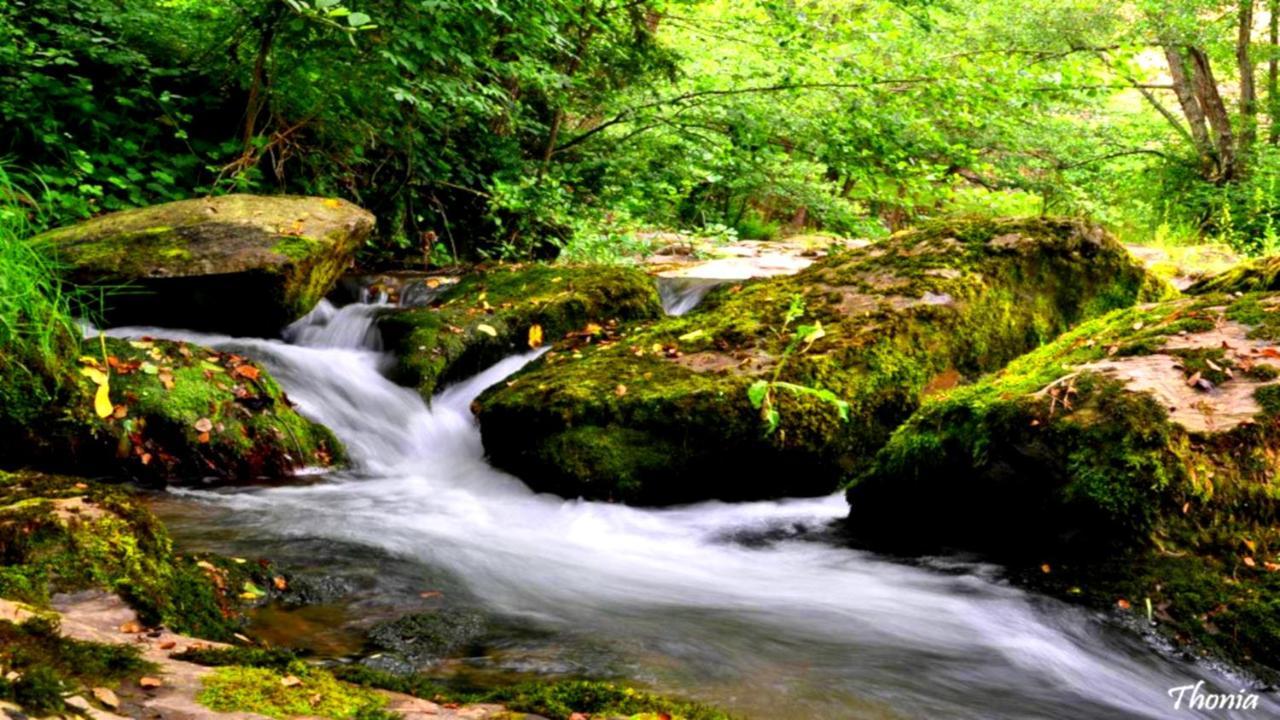 Allotjaments El Pont Camprodon Εξωτερικό φωτογραφία